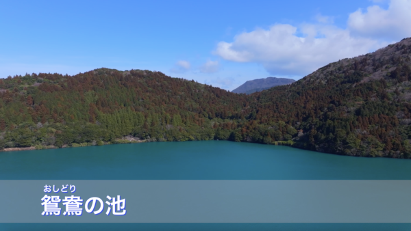 ドローン空撮　鴛鴦の池（おしどりの池）