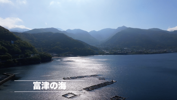 ドローン空撮　富津の海