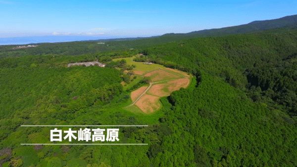 ドローン空撮　白木峰高原