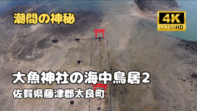 ドローン空撮　大魚神社の海中鳥居2