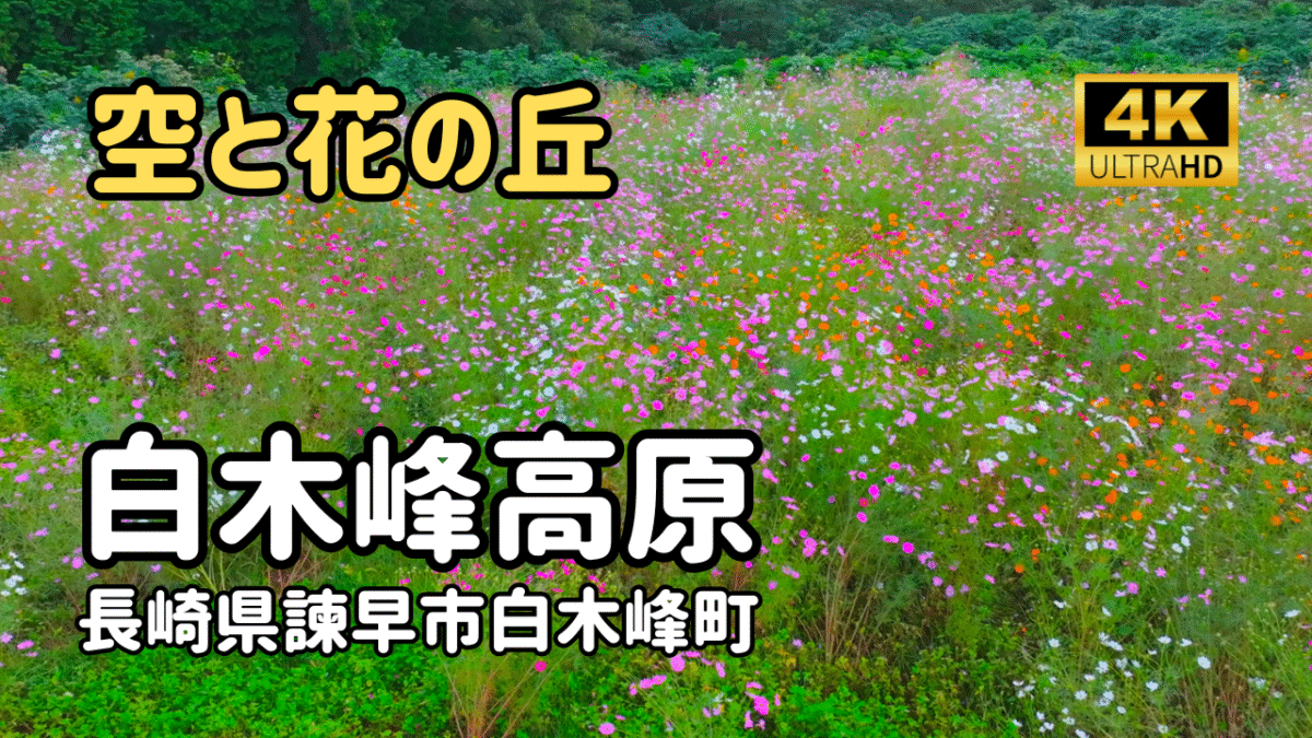 ドローン空撮　白木峰高原2