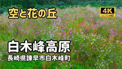 ドローン空撮　白木峰高原2