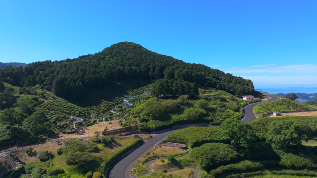 9月の長串山公園の緑豊かな斜面を上空からドローン撮影